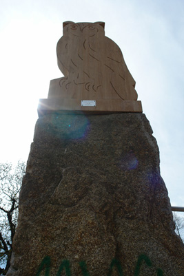 Albertinische Eulen